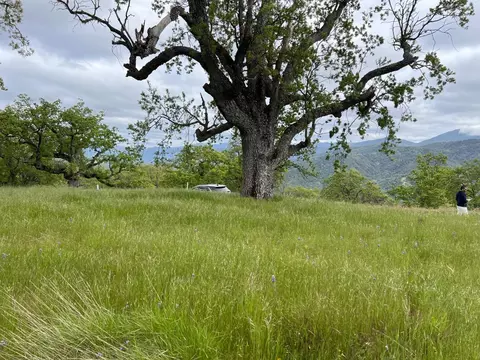 13 Long Ridge Trl, Carmel, CA 93923 photo 11