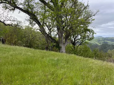 13 Long Ridge Trl, Carmel, CA 93923 photo 9