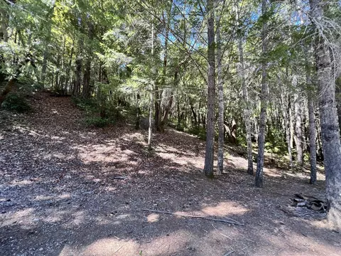 24858 Clover Rd, Willits, CA 95490 photo 3