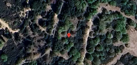 29865 Hickory Dr, Cedar Glen, CA 92321