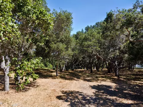 4 Holding Field Run, Carmel, CA 93923 photo 12