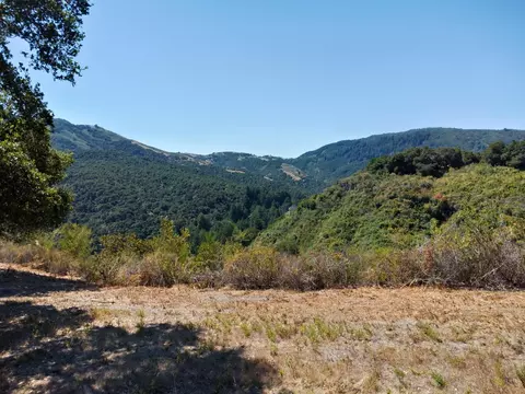 4 Holding Field Run, Carmel, CA 93923 photo 2