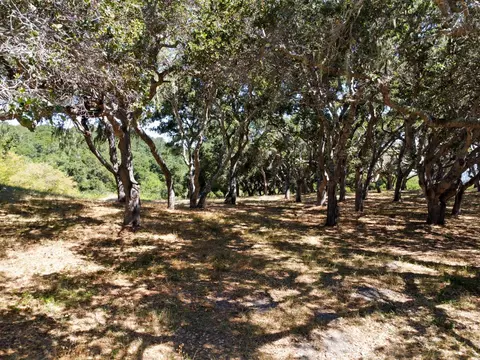 4 Holding Field Run, Carmel, CA 93923 photo 7