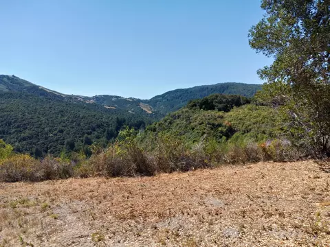 4 Holding Field Run, Carmel, CA 93923 photo 3