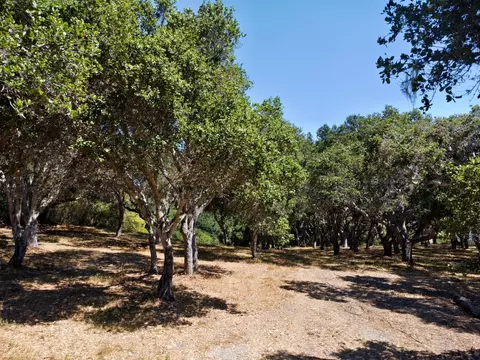 4 Holding Field Run, Carmel, CA 93923 photo 13