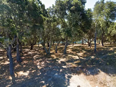 4 Holding Field Run, Carmel, CA 93923 photo 8