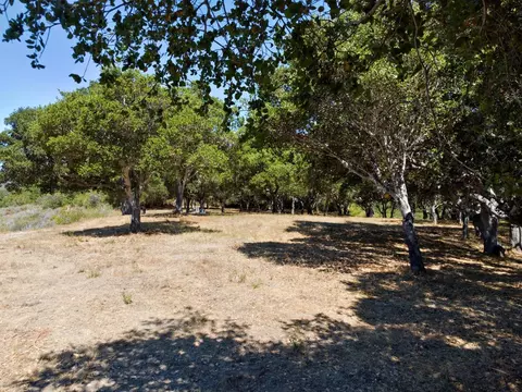 4 Holding Field Run, Carmel, CA 93923 photo 9