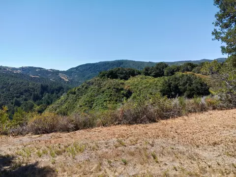 4 Holding Field Run, Carmel, CA 93923 photo 15