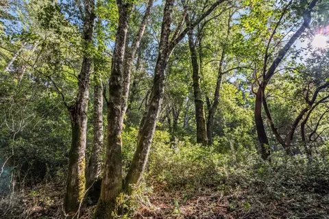 lot1 Desear, Felton, CA 95018