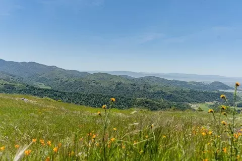 Other - 100 Old Stage Rd, San Juan Bautista, CA 95045 photo 34 of 40