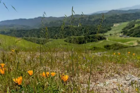 Other - 100 Old Stage Rd, San Juan Bautista, CA 95045 photo 20 of 40