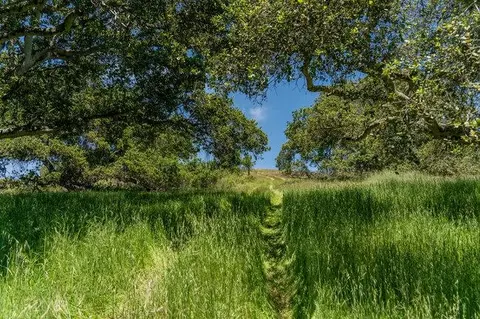 Other - 100 Old Stage Rd, San Juan Bautista, CA 95045 photo 23 of 40