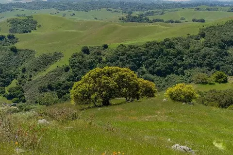 Other - 100 Old Stage Rd, San Juan Bautista, CA 95045 photo 30 of 40