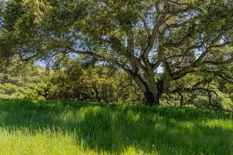 Other - 100 Old Stage Rd, San Juan Bautista, CA 95045 photo 11 of 40