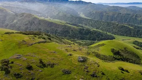 View/Area - 100 Old Stage Rd, San Juan Bautista, CA 95045 photo 10 of 14