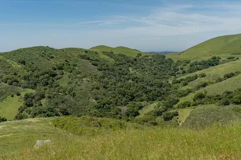 Other - 100 Old Stage Rd, San Juan Bautista, CA 95045 photo 40 of 40