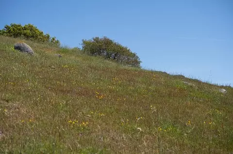Other - 100 Old Stage Rd, San Juan Bautista, CA 95045 photo 18 of 40