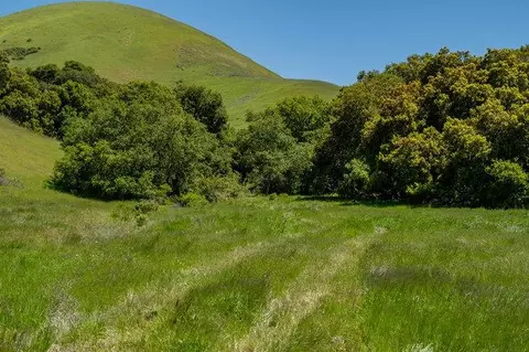 Other - 100 Old Stage Rd, San Juan Bautista, CA 95045 photo 17 of 40