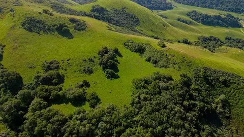 Other - 100 Old Stage Rd, San Juan Bautista, CA 95045 photo 7 of 40