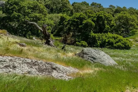 Other - 100 Old Stage Rd, San Juan Bautista, CA 95045 photo 14 of 40