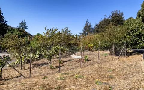3375 Allred Ln, Soquel, CA 95073 photo 8