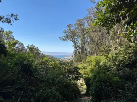 00 Adobe Dr, Pacifica, CA 94044 photo 13