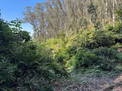 00 Adobe Dr, Pacifica, CA 94044 photo 15