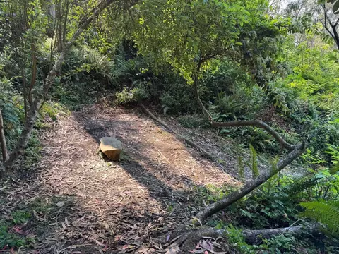 00 Adobe Dr, Pacifica, CA 94044 photo 20