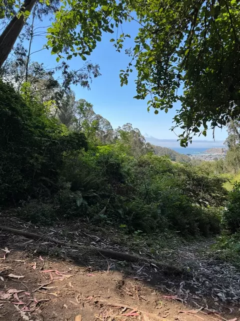 00 Adobe Dr, Pacifica, CA 94044 photo 36