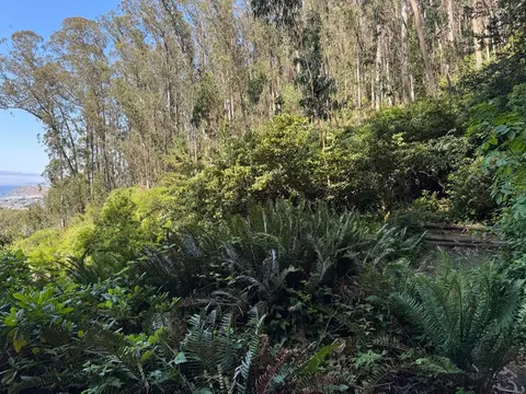 00 Adobe Dr, Pacifica, CA 94044 photo 37