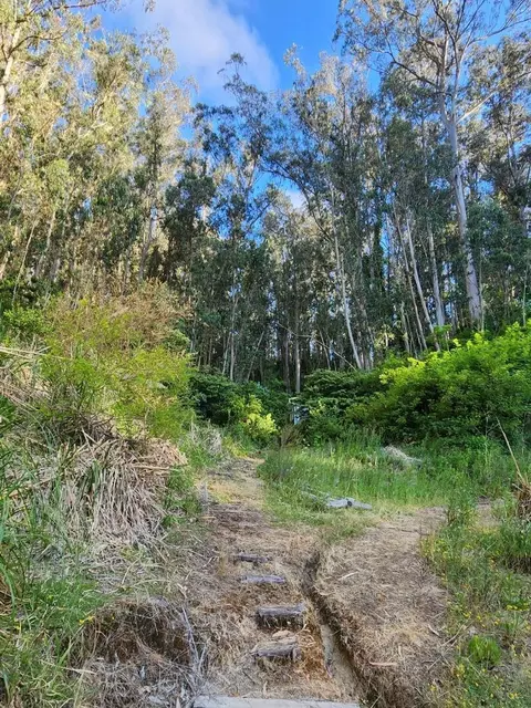 00 Adobe Dr, Pacifica, CA 94044 photo 8