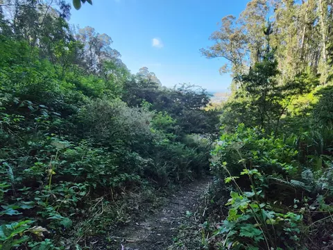 00 Adobe Dr, Pacifica, CA 94044 photo 6