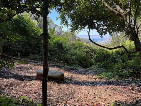 00 Adobe Dr, Pacifica, CA 94044 photo 32