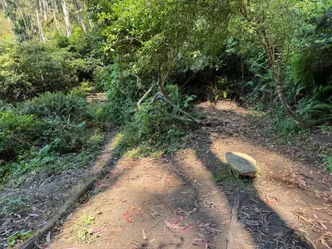00 Adobe Dr, Pacifica, CA 94044 photo 16