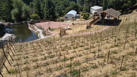 View/Area - 1003 Laurel Gln, Soquel, CA 95073 photo 1 of 3