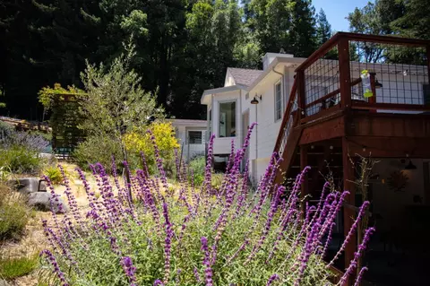 Exterior - 1003 Laurel Gln, Soquel, CA 95073 photo 5 of 29