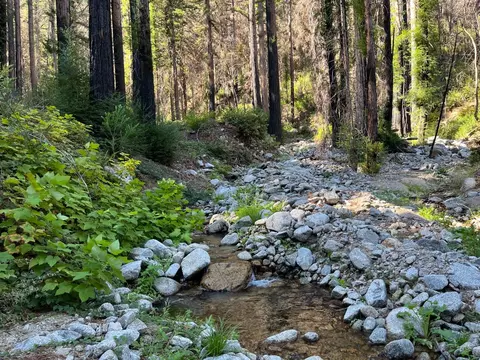 lot04 Boulder Brook Dr, Boulder Creek, CA 95006