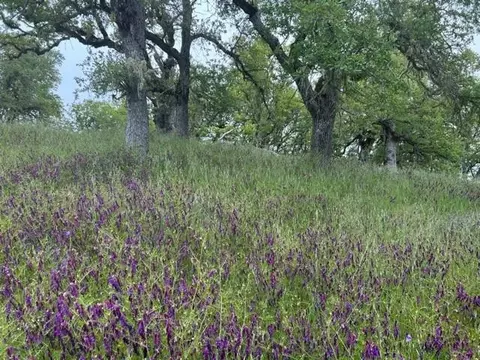 0 Lambert Flat Rd, Carmel Valley, CA 93924