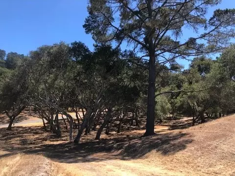 7735 Paseo Venado, Monterey, CA 93940