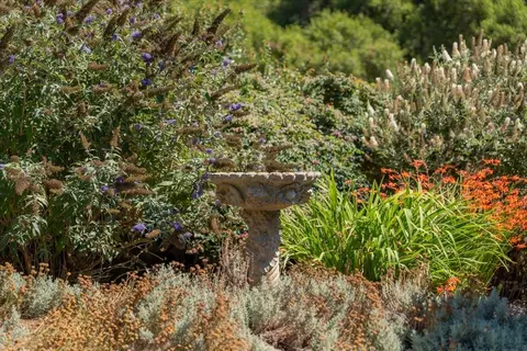 4711 Old San Jose Rd, Soquel, CA 95073 photo 65