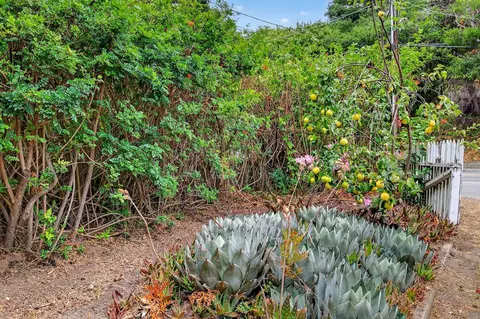 3475 N Main St, Soquel, CA 95073 photo 36