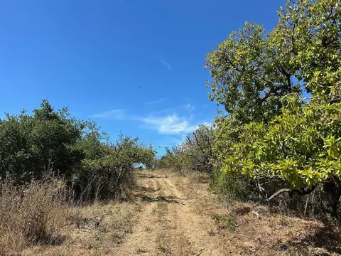 0 Sans Rd, Corralitos, CA 95076 photo 26