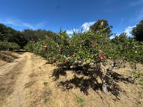 0 Sans Rd, Corralitos, CA 95076 photo 33