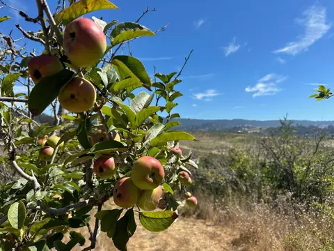 0 Sans Rd, Corralitos, CA 95076 photo 25