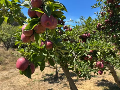 0 Sans Rd, Corralitos, CA 95076 photo 4