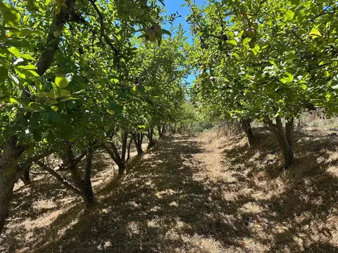 0 Sans Rd, Corralitos, CA 95076 photo 7