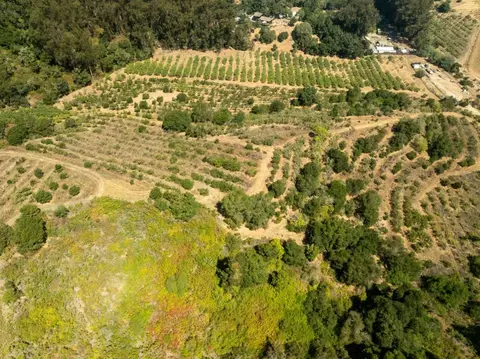 0 Sans Rd, Corralitos, CA 95076 photo 16