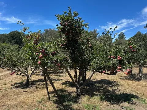 0 Sans Rd, Corralitos, CA 95076 photo 32