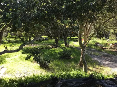 6967 Valle Pacifico Rd, Salinas, CA 93907