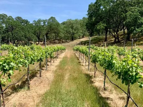 0 Hayes Ln, San Martin, CA 95046